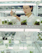 规范种质资本的进出口和国际交换